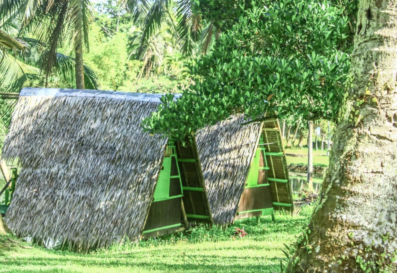 Caliraya Ecoville Recreation And Farm Resort Cavinti Екстер'єр фото