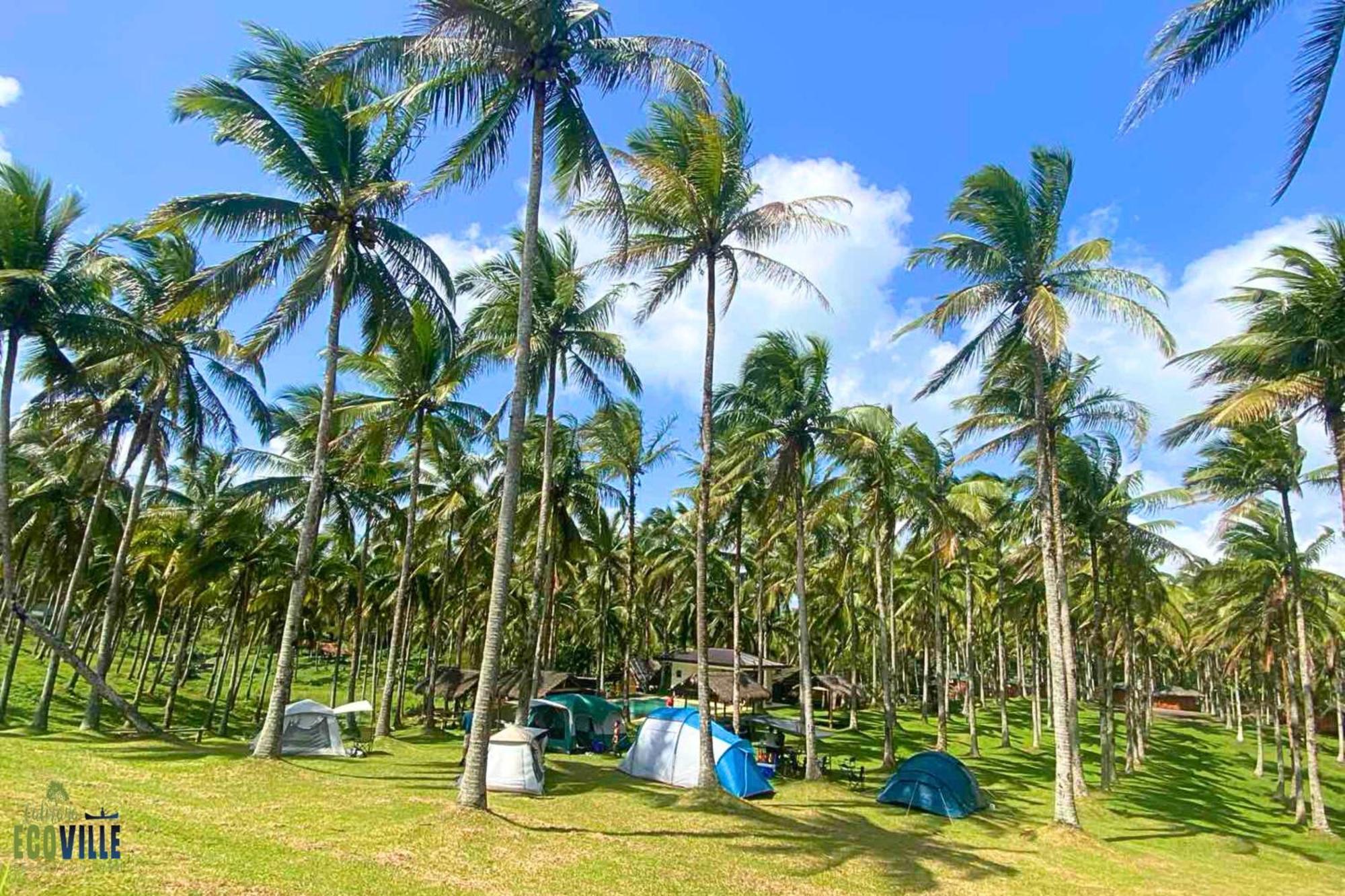 Caliraya Ecoville Recreation And Farm Resort Cavinti Екстер'єр фото